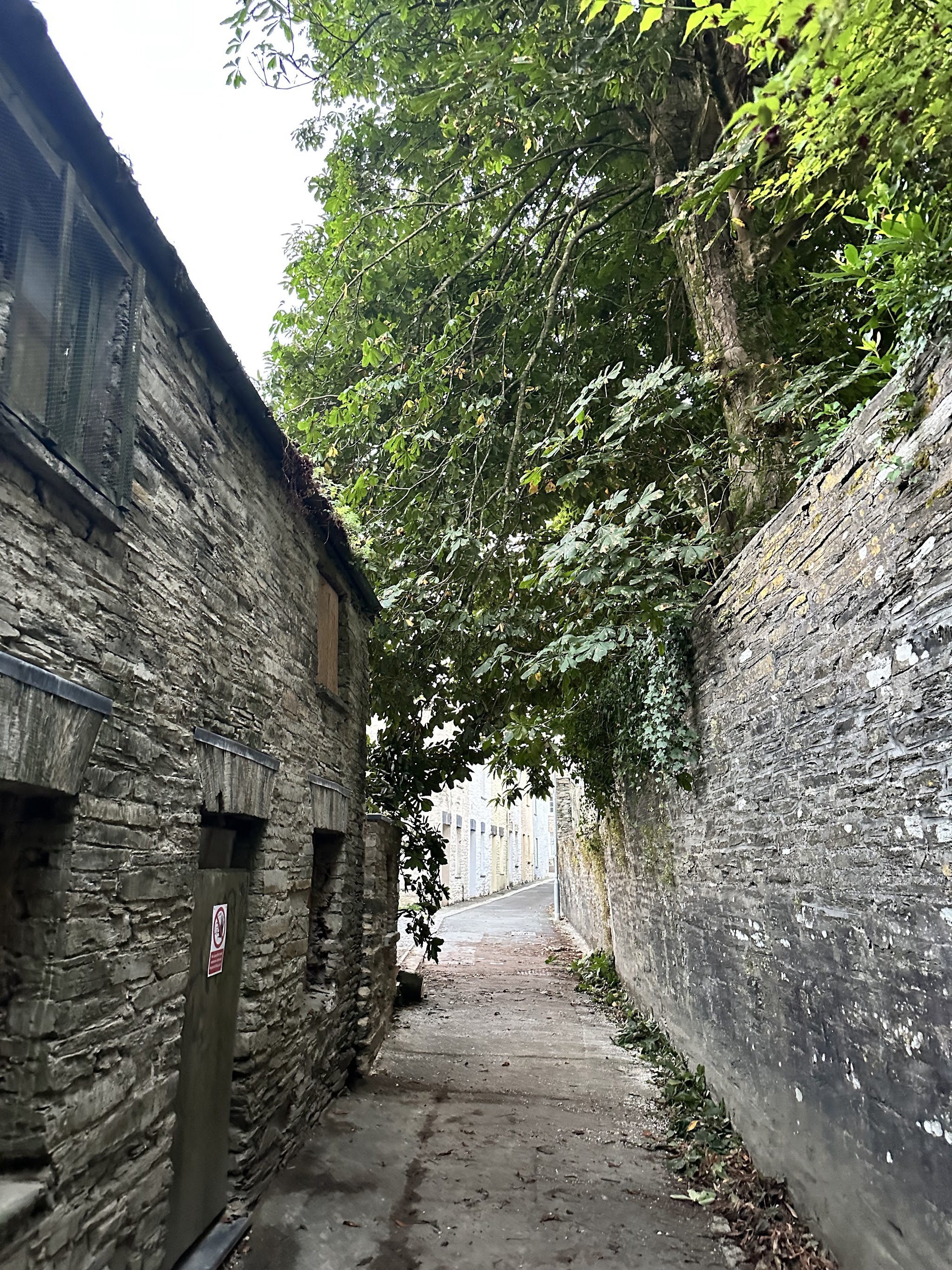 A narrow stone-walled lane with trees overhanging the path