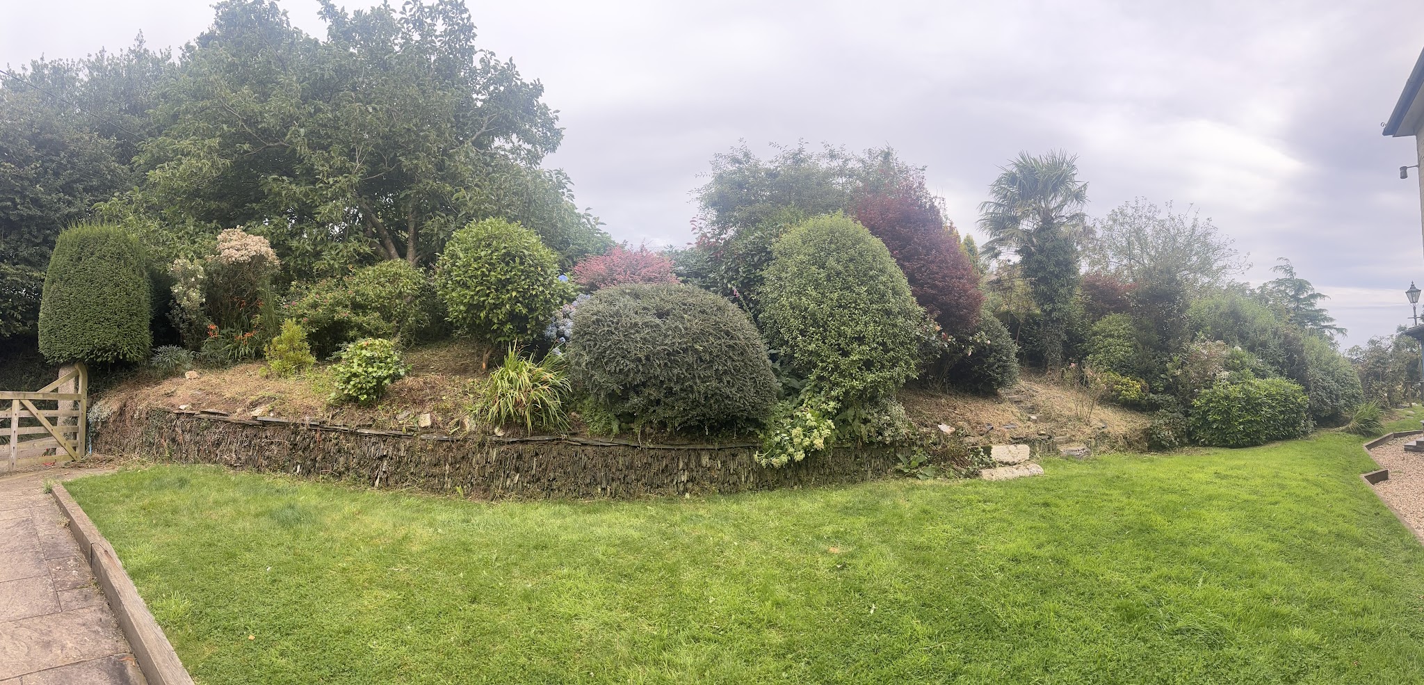 A tidy garden: a shaped shrub bank above a stone-faced bed and a freshly mown lawn