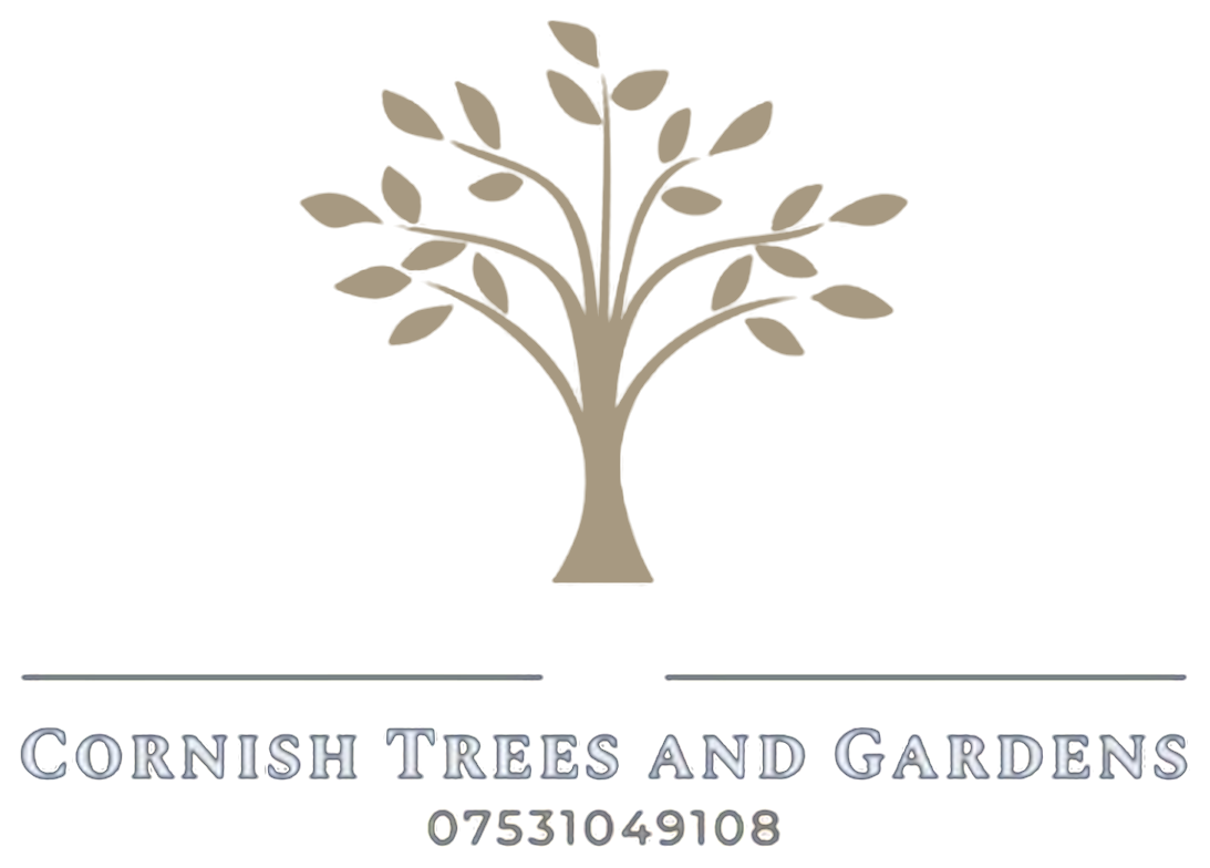 Cornish Trees and Gardens