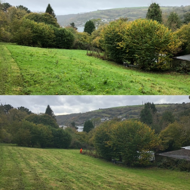 Before and after: a sloping garden with the grass mown
