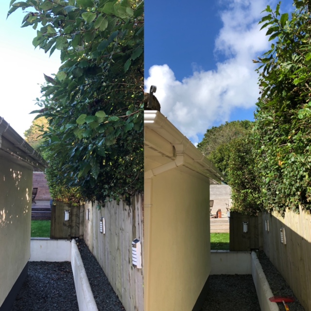 Before and after: an overhanging hedge cut back along a side passage